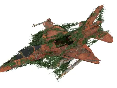 Damaged Rusted Jet 3D model