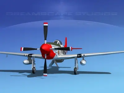 P-51D Mustang Eagleton 3D model