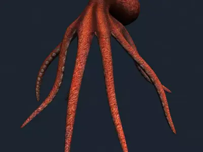 3DRT - Sealife - Octopus Low-poly 3D model