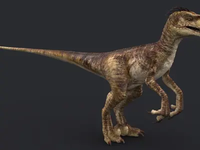 Velociraptor 2 RIGGED 3D model