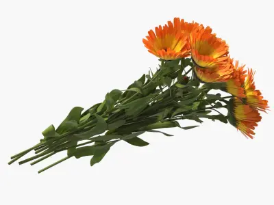 Calendula Flower Bouquet Yellow Fur 3D model