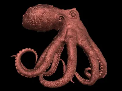 Realistic Octopus 3D model