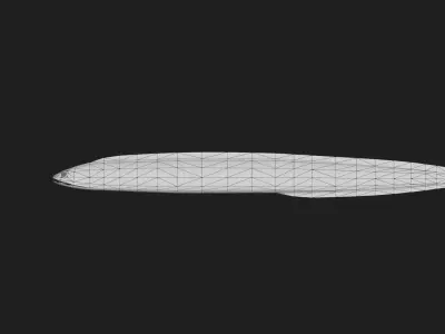 Eel fish Low-poly 3D model