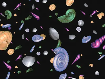 Shells and ammonites 3D model