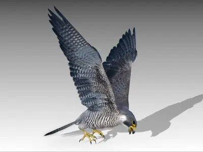 Falcon in flight Low-poly 3D model