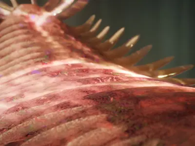 Opabinia Low-poly 3D model