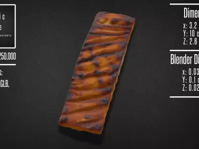 Realistic Grilled Salmon Fillet Model 3D model
