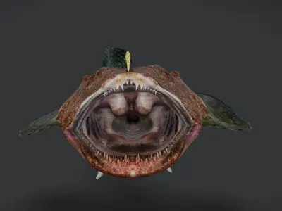 Goosefish - Anglerfish - Ocean Horror Monster - Animated 3D model