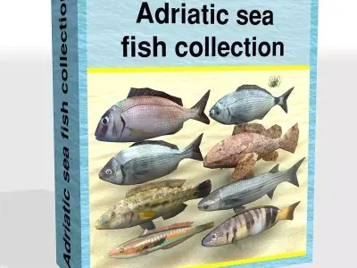 Adriatic sea fish collection Low-poly 3D model