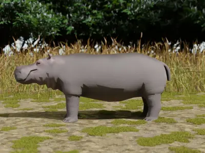 Hippo hippopotamus Low-poly 3D model