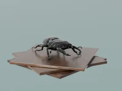 House Decoration Stag Beetle Statue Low-poly 3D model