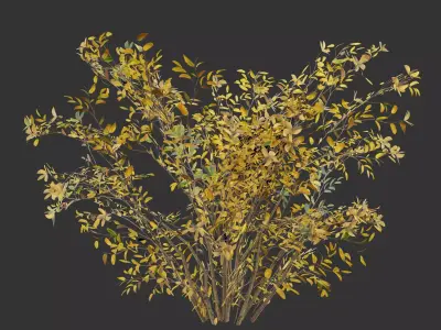 Simple Autumn Bush Game Ready Free 3D model