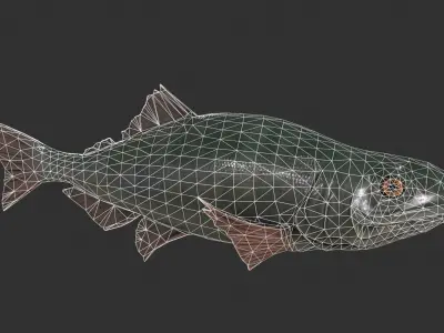 Freshwater Fish Low-poly 3D model