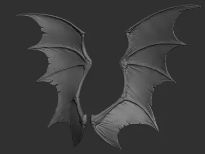 10 Creature wings  3D model