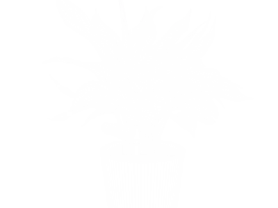  Aglaonema Plant Model 