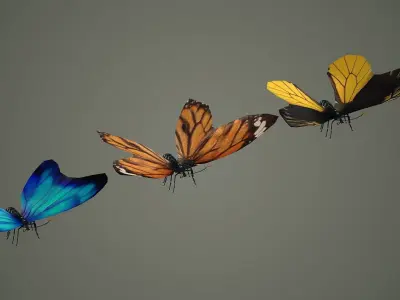 butterfly antenna wing insect fly wildlife summer sky  3D model