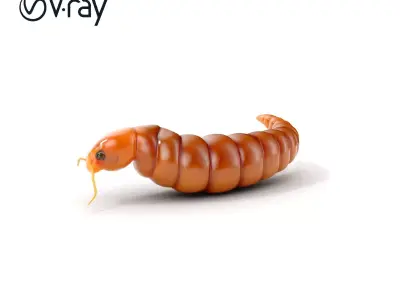 Realistic Caterpillar Model Pack with Detailed Textures Low-poly 3D model