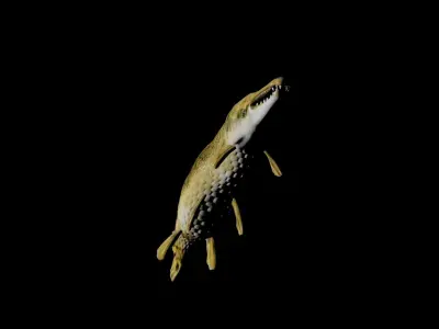 ALLIGATOR GAR 3D model