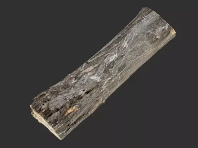 3d scan tree trunk in highpoly 3D model