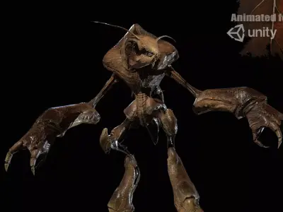 Collector Low-poly 3D model