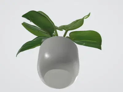 3d model of a plant 3D model