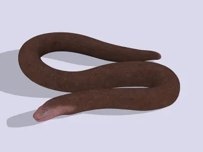 Blind snake Low-poly 3D model