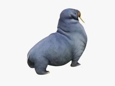 Walrus Free 3D model