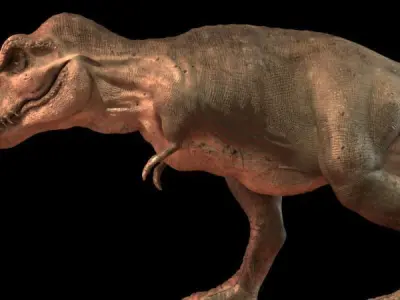 Tyrannosaurus Rex full rigged animated 3D model