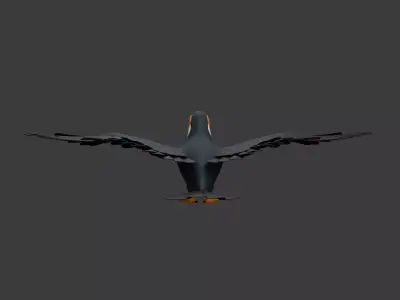 Toucan cartoon 3D model