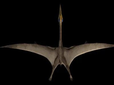 Quetzalcoatlus dinosaur flying in air Low-poly 3D model