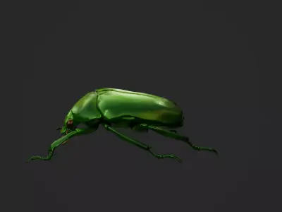 Green Scarab Beetle Green Chafer Mimela splendens gyllenhaal  Low-poly 3D model