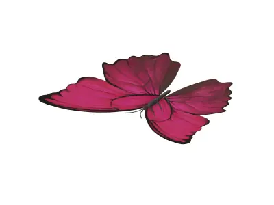 Butterfly v1 002 Low-poly 3D model