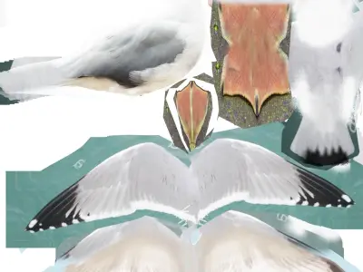 Realistic Seagull Model - Low-poly 3D model