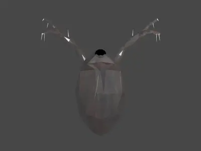 Waterflea deer head Low-poly 3D model