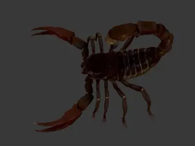 Scorpion Low-poly 3D model