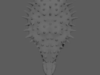 Ankylosaurus medium - high poly Free 3D model