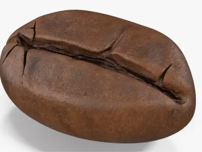 Coffee Bean Roasted 2 v 2 3D model