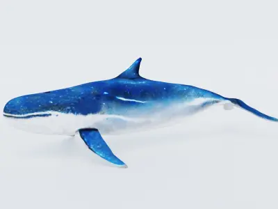 Whale Free 3D model
