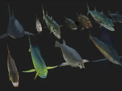 Rigged Low Poly Underwater Fish Collection 3D Models Low-poly 3D model