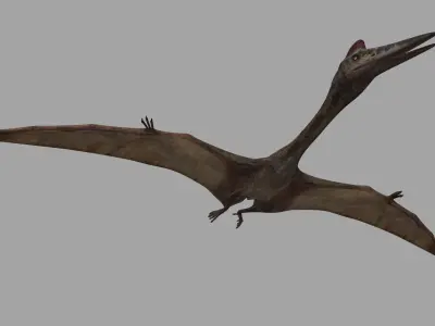 Quetzalcoatlus HD - 3d animated model Low-poly 3D model