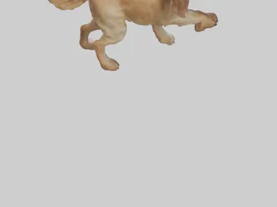 Cocker Spaniel retrieving model 3D model