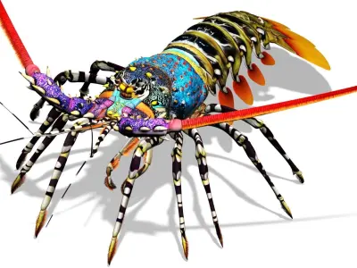 Ornate spiny lobster 3D model