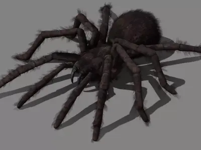 Spider - Tarantula with animations Low-poly 3D model