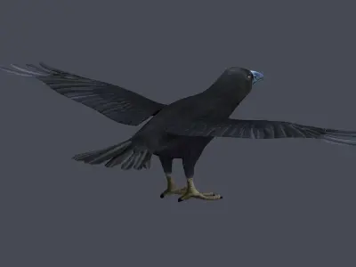 Crow Raven Black Bird Black Crow raven corvus animal bird  3D model