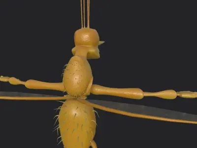 Mosquito Cartoon 3D  Low-poly 3D model