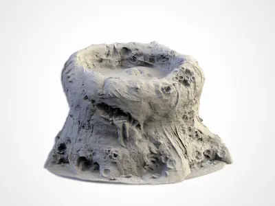 ROTTEN TERRAIN 3D print model