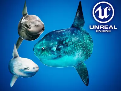 Ocean Sunfish Pack - UE4 Low-poly 3D model