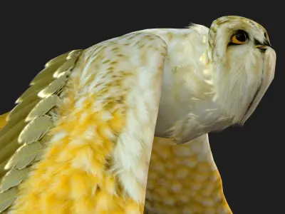 OwlBird A4 3D model