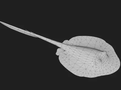 DiscusRay Low-poly 3D model