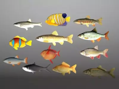 Essential Fish Model Collection Low-poly 3D model